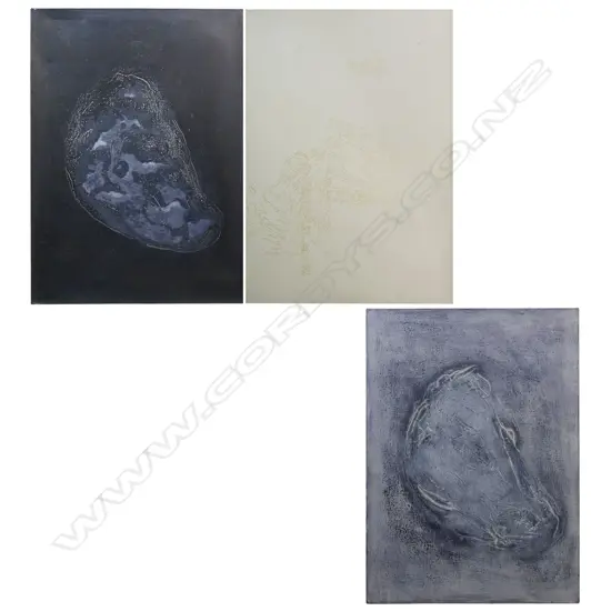 Jacquie Ure Favoured pathways,