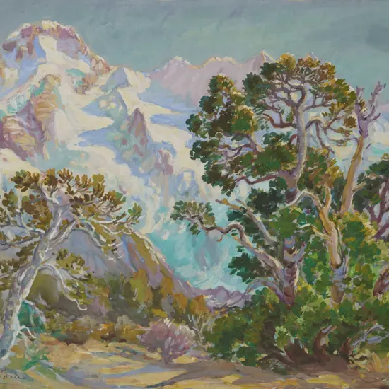 Kitty Airini Vane NZ glacier and trees