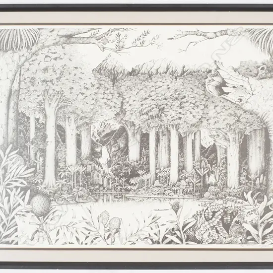 Rei Hamon NZ Forest scene