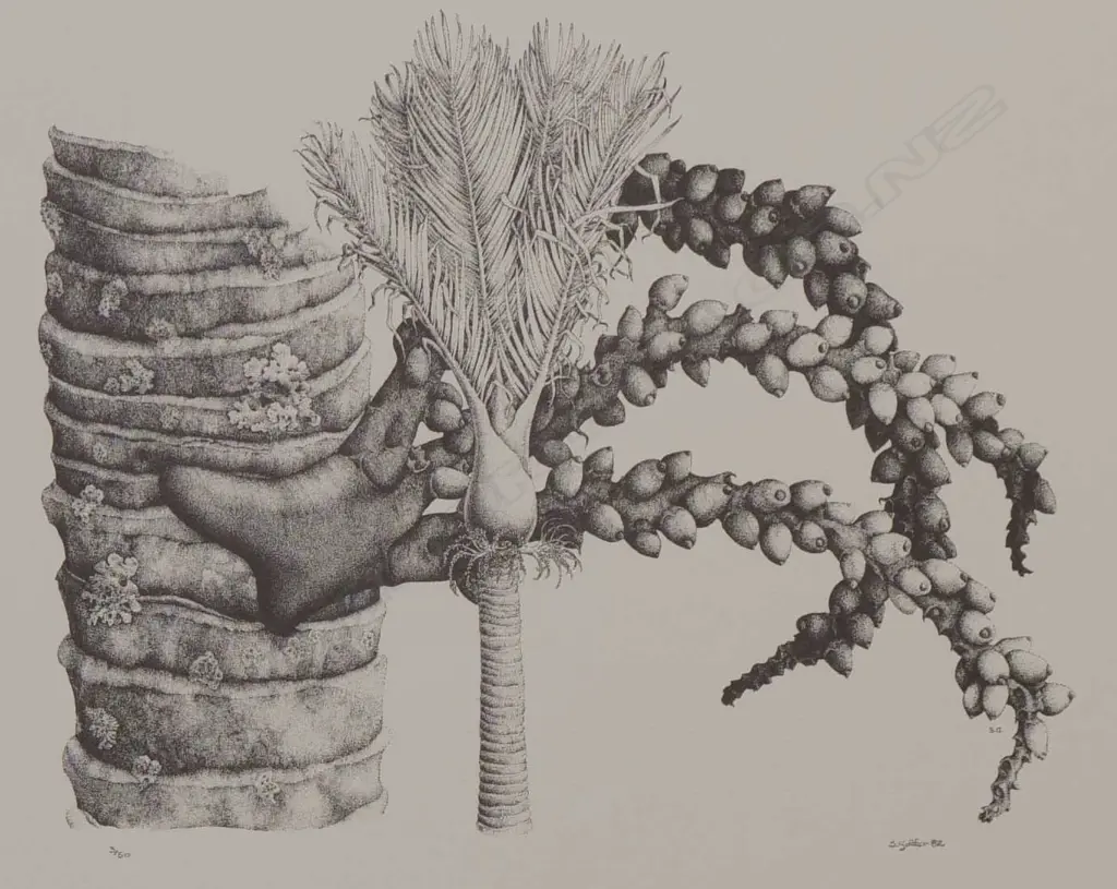 S Golder Nikau Palm Image 1++