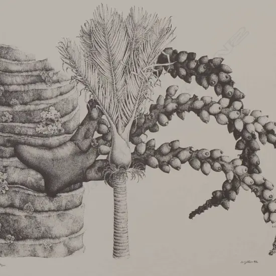 S Golder Nikau Palm