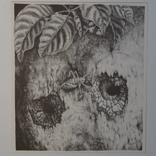 S. Golder Weta on a tree,