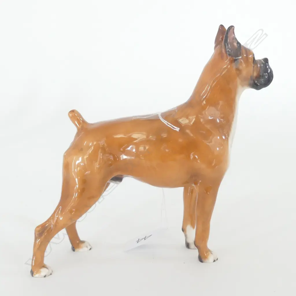 DOULTON STANDING BOXER DOG, MED H.165mm Image 1++