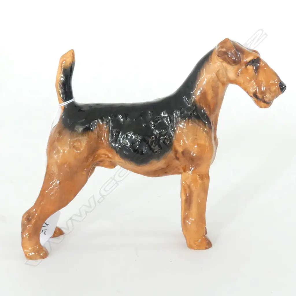 DOULTON STANDING AIREDALE TERRIER, MED. HN1023. H.135mm Image 1++