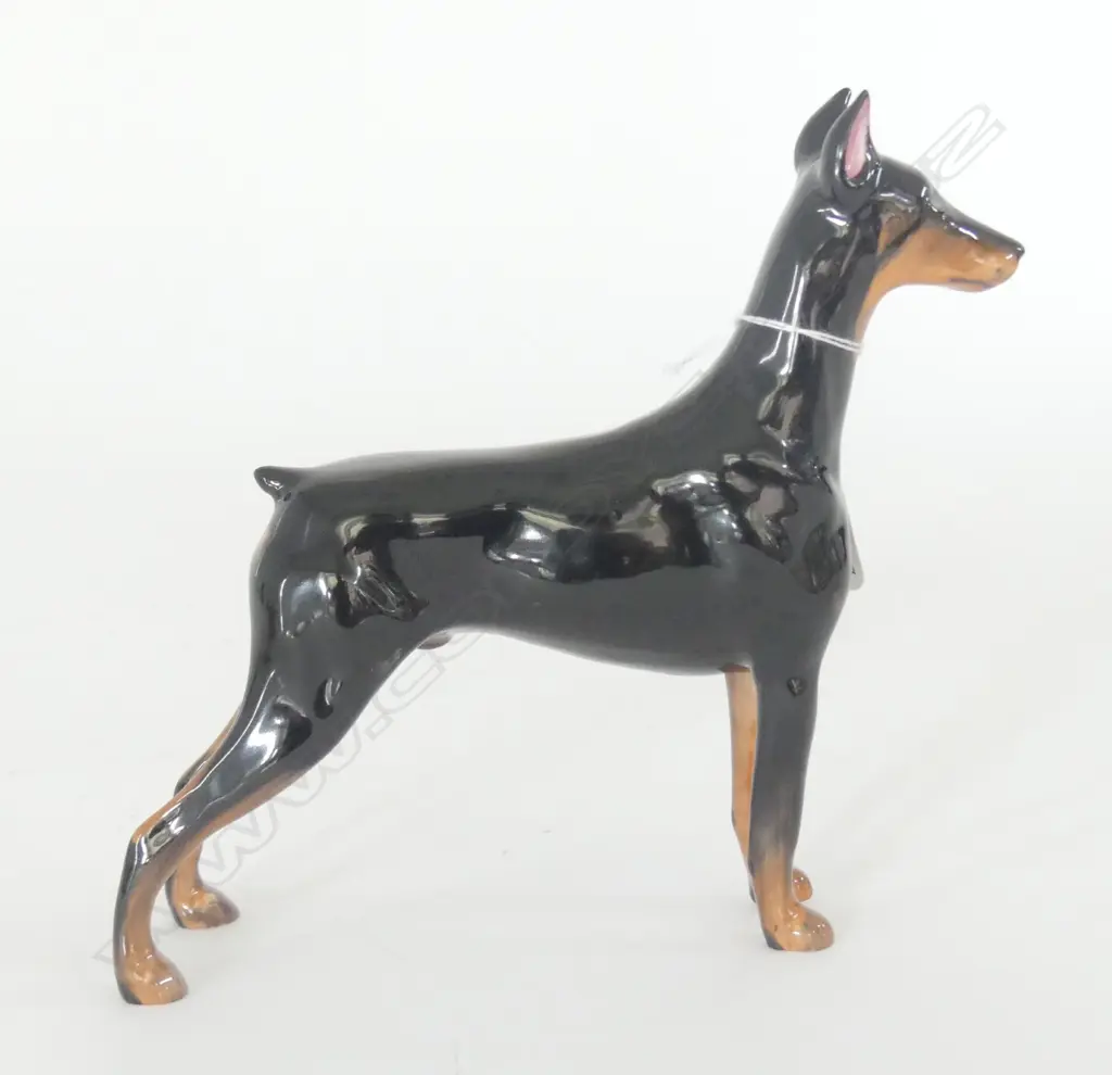 DOULTON STANDING DOBERMAN, MED H.160mm Image 1++