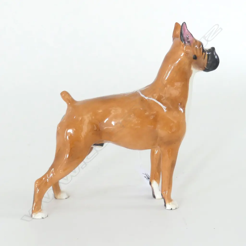 R DOULTON STANDING BOXER DOG, MED H.165mm Image 1++