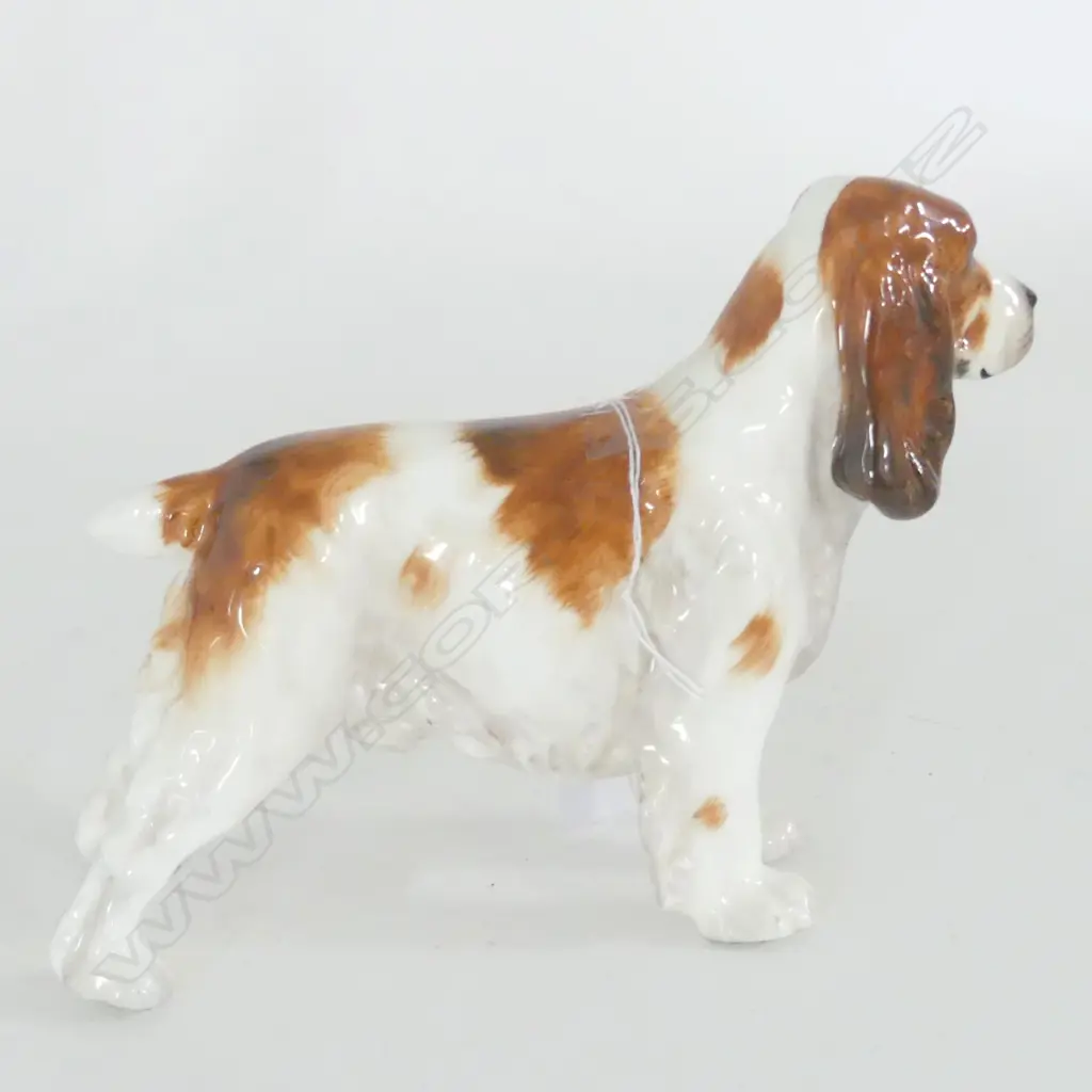 DOULTON COCKER SPANIEL WHITE & TAN HN1036 L.180mm Image 1++
