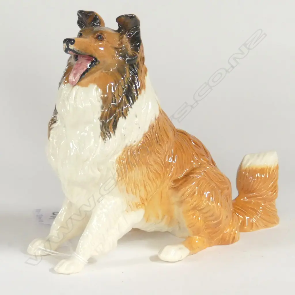 DOULTON SEATED COLLIE, BROWN & WHITE, L.160mm Image 1++