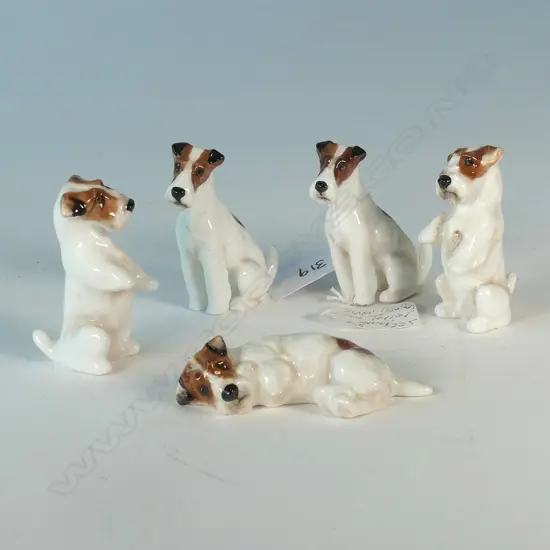 5 DOULTON MINIATURE FOX TERRIERS
