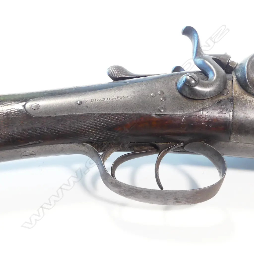 A double barrel 10 bore shotgun, by T Bland & Sons, London, Image 1++