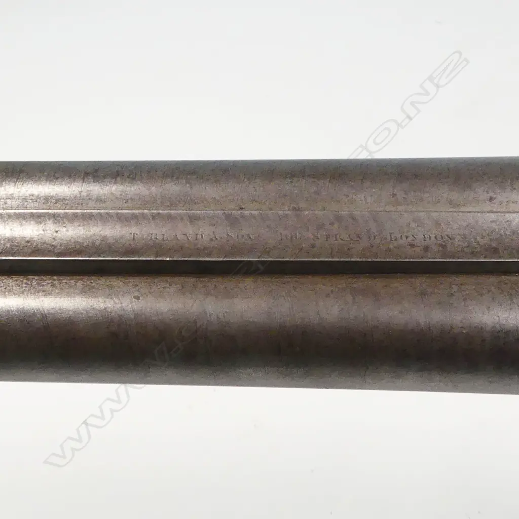A double barrel 10 bore shotgun, by T Bland & Sons, London, Image 1++