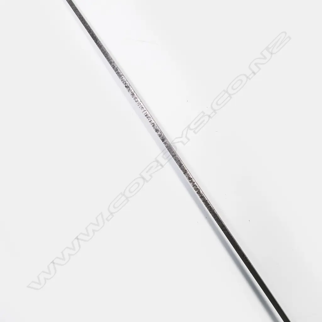 A fencing foil with nickel guard and pommel. Image 1++