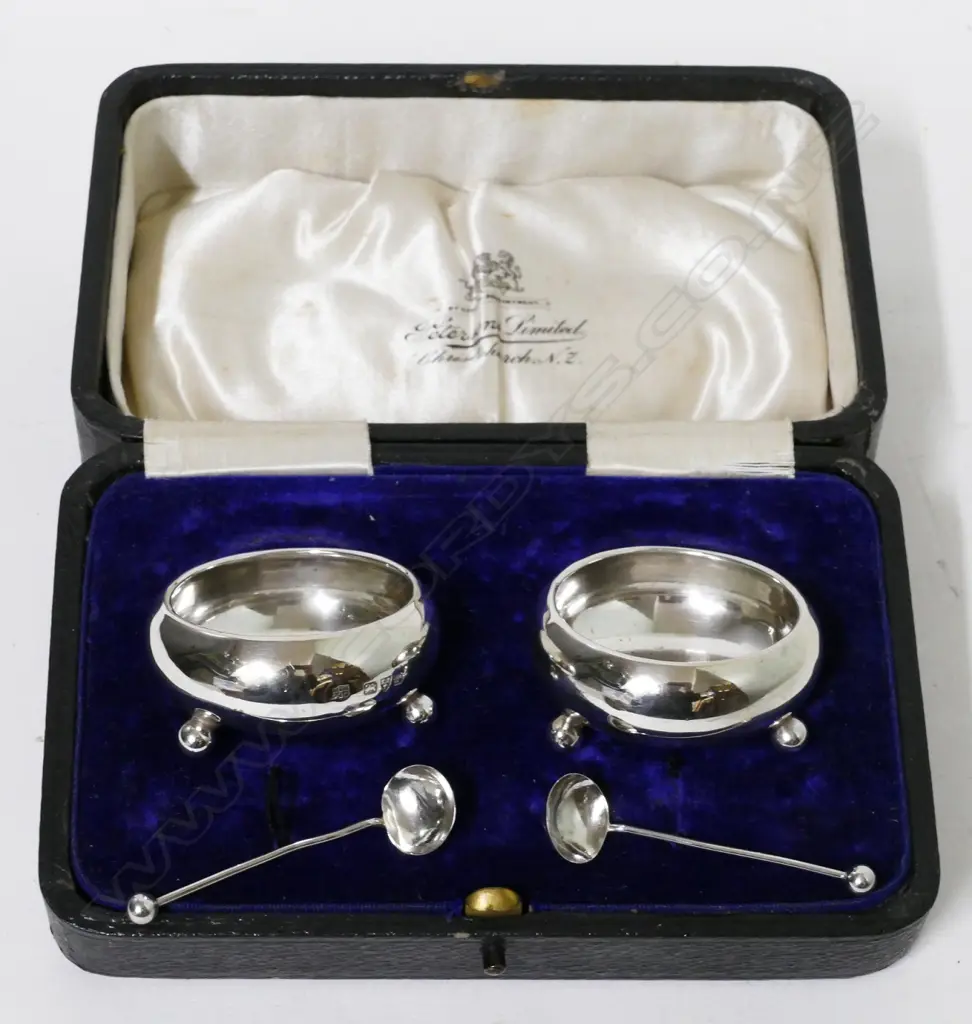 A pair of silver salts and spoons Image 1++