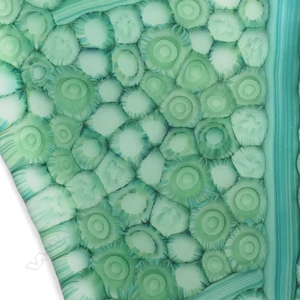 Stephen Bradbourne green glass leaf, Image 1++