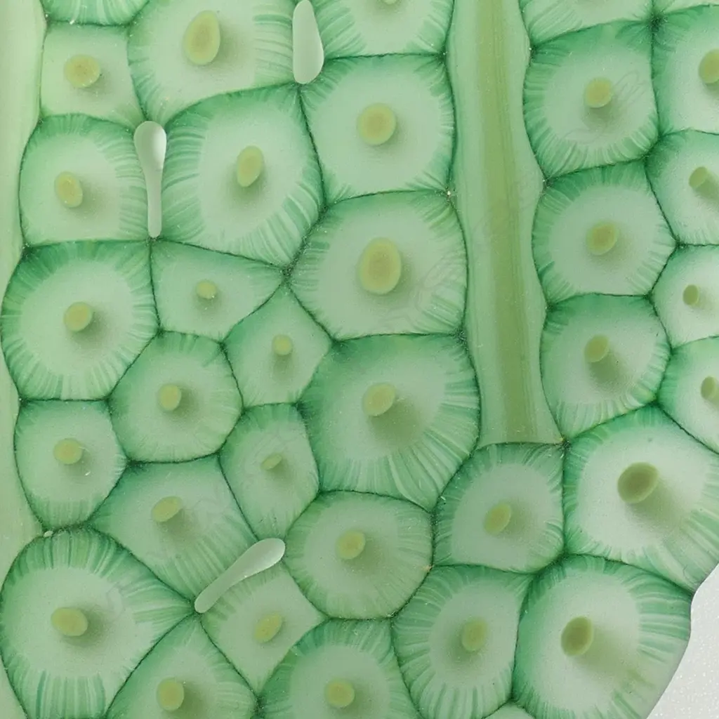 Stephen Bradbourne green glass leaf, Image 1++