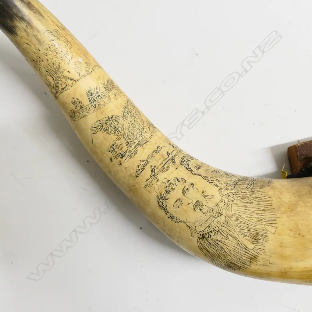 A pair of scrimshaw bullock horns decoratively worked with Māori portraits, weapons, native birds and landscapes, fitted to a wooden mount. W.560mm. Image 1++