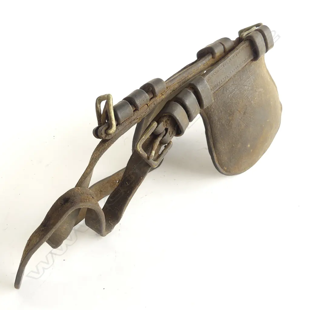 A set of leather horse tack blinkers Image 1++