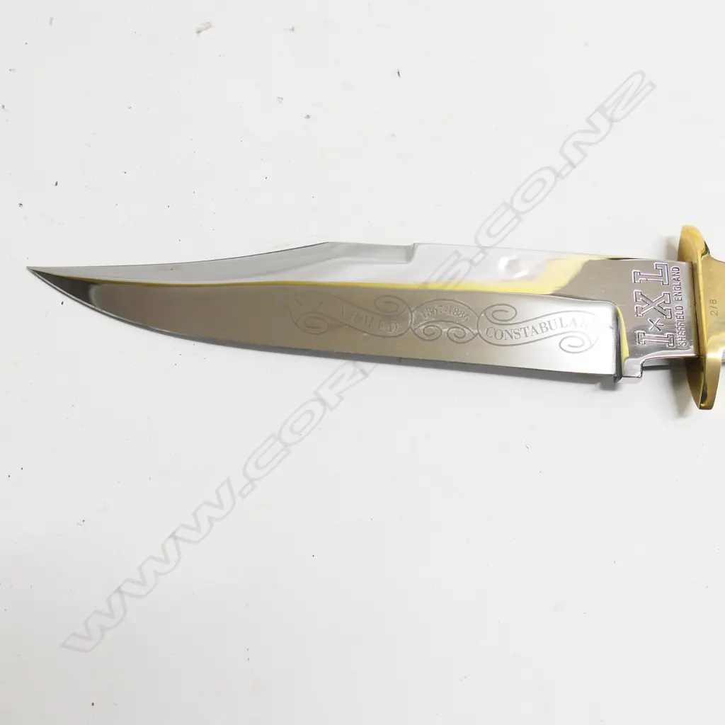 Two substantial 'G. Wostenholm, Washington Works' clip blade 10" Bowie knives by I*XL Sheffield, England, with rosewood coffin handles and brass cross guards, Image 1++