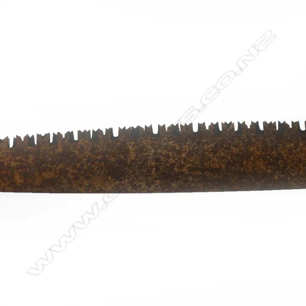 Two double handled tree felling saws, rusted. L.1800mm approx. Image 1++
