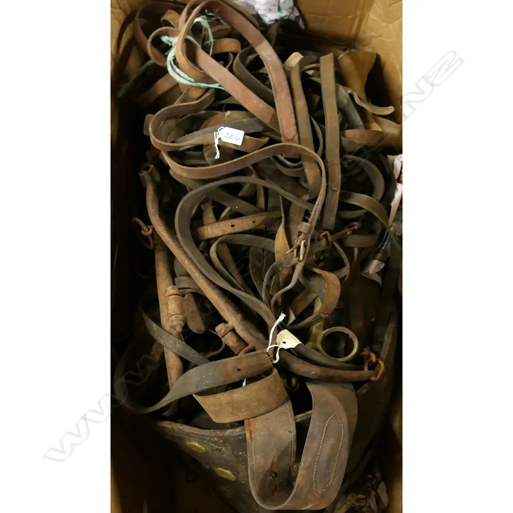 Very large box full of leather saddle straps, etc Image 1++