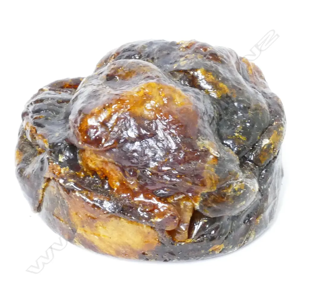 A piece of kauri gum Image 1++