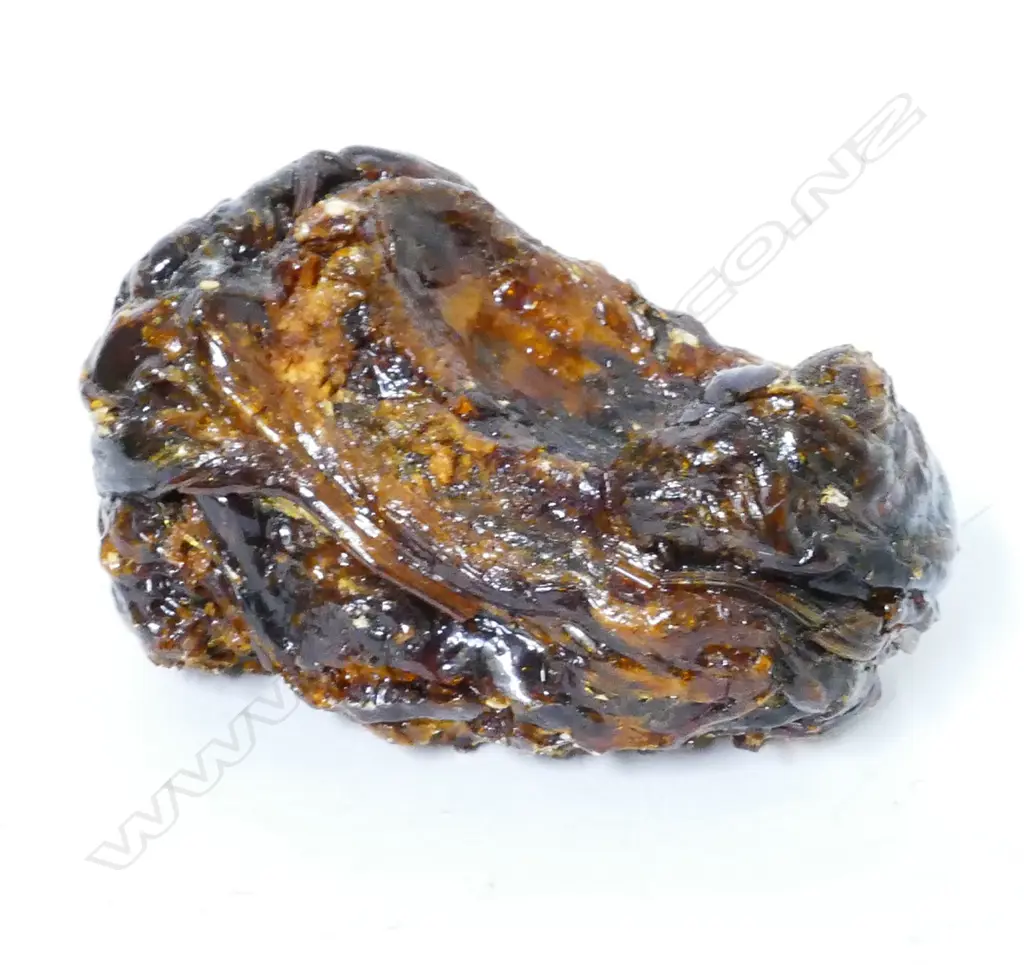 Two pieces of kauri gum Image 1++