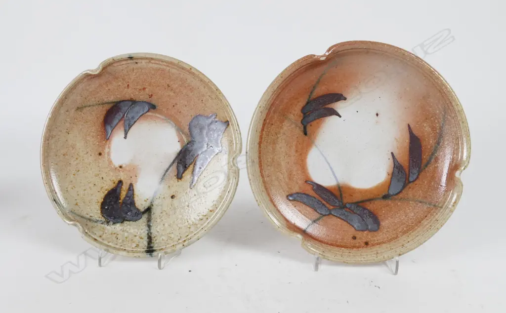 Anne Ambler Image 1++