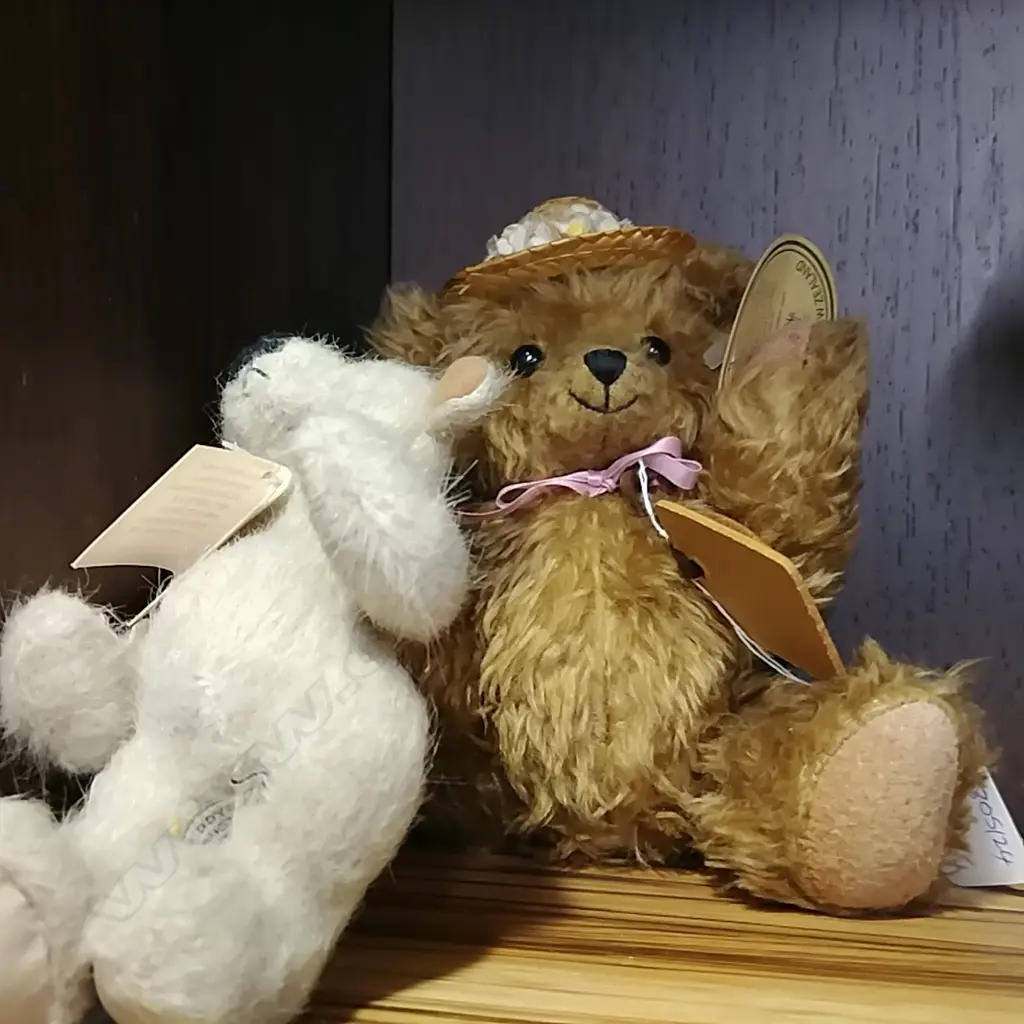NZ BEAR AND AUSTRALIAN BEAR Image 1++