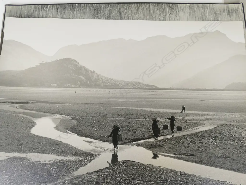 Seven early/mid 20thC black and white photographs Image 1++