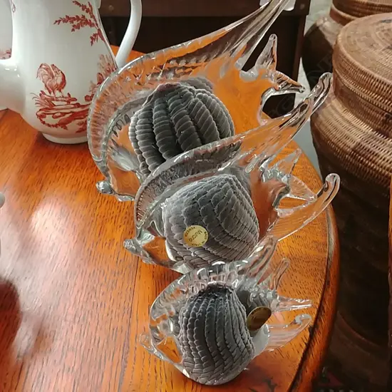 3 MURANO GLASS ANGEL FISH - GREY