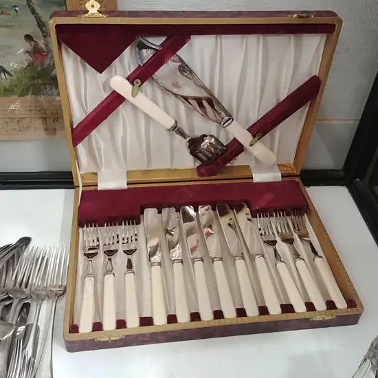 CASED FISH KNIVES +FORKS