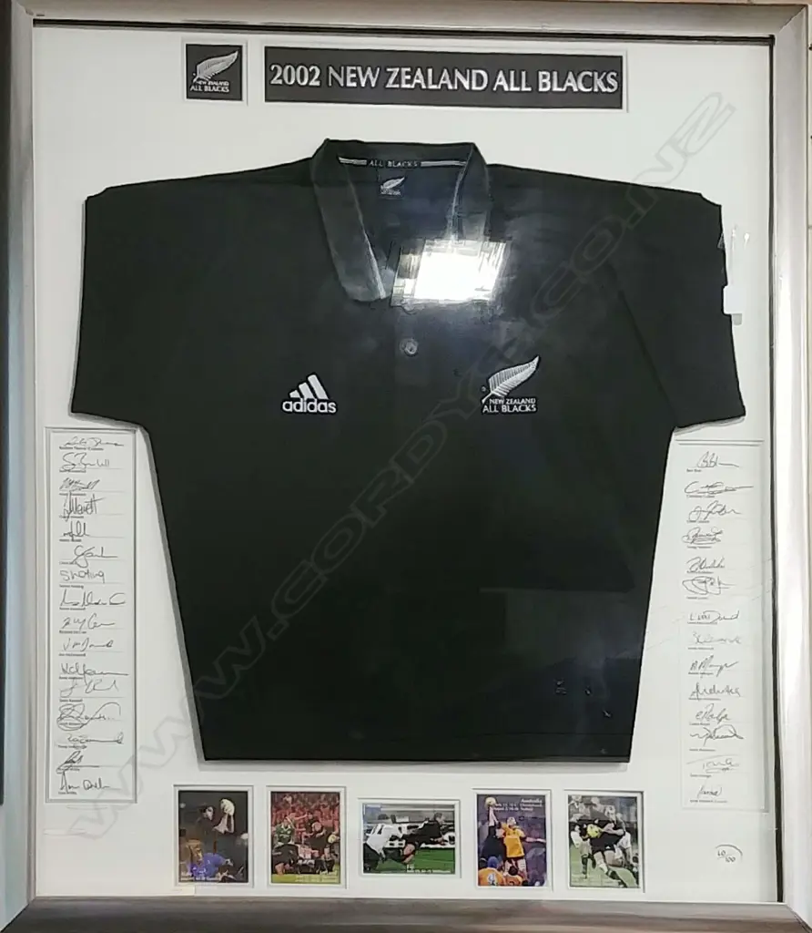 CERTIFIED 2002 AB'S JERSEY-SGD BY AB'S-LTD ED. Image 1++
