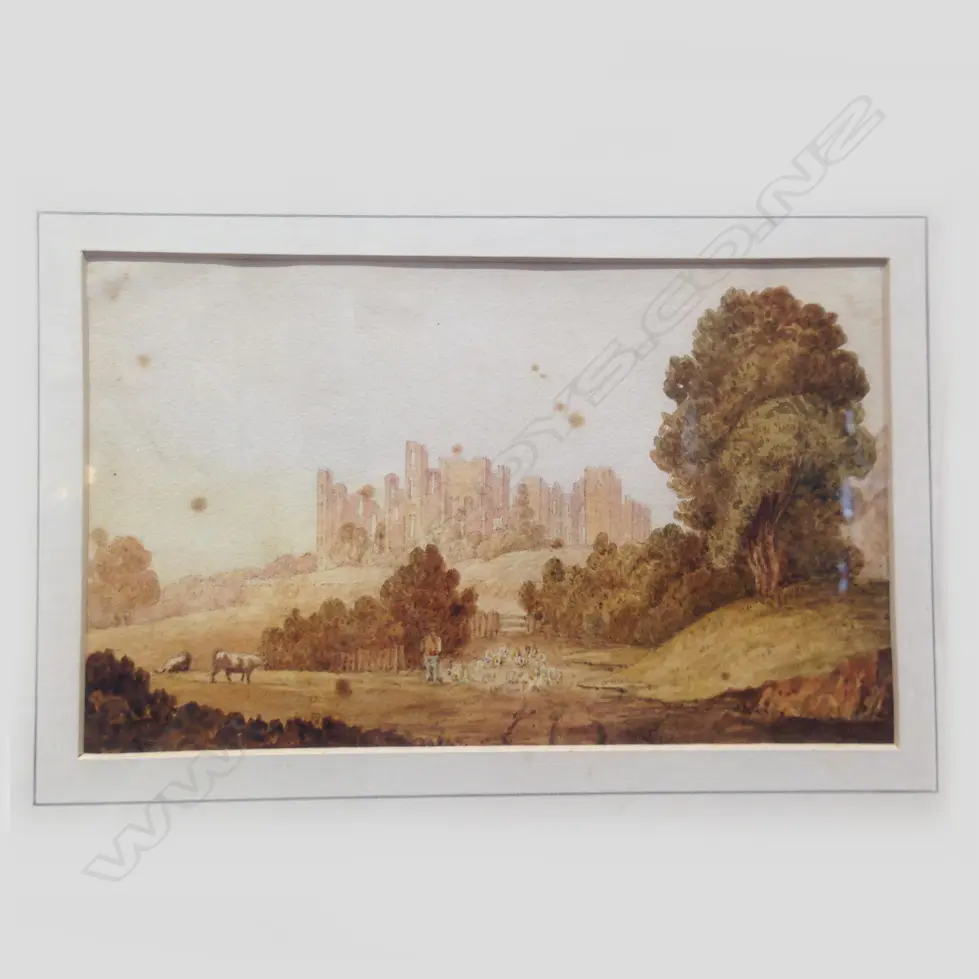 EARLY ENGLISH W/C AND ANT. BOTANICAL PRINT Image 1++