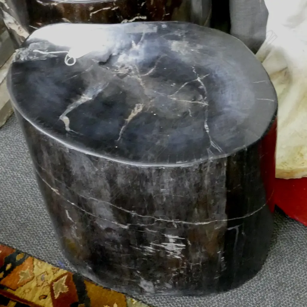 A heavy fossilised wood cylindrical stool Image 1++