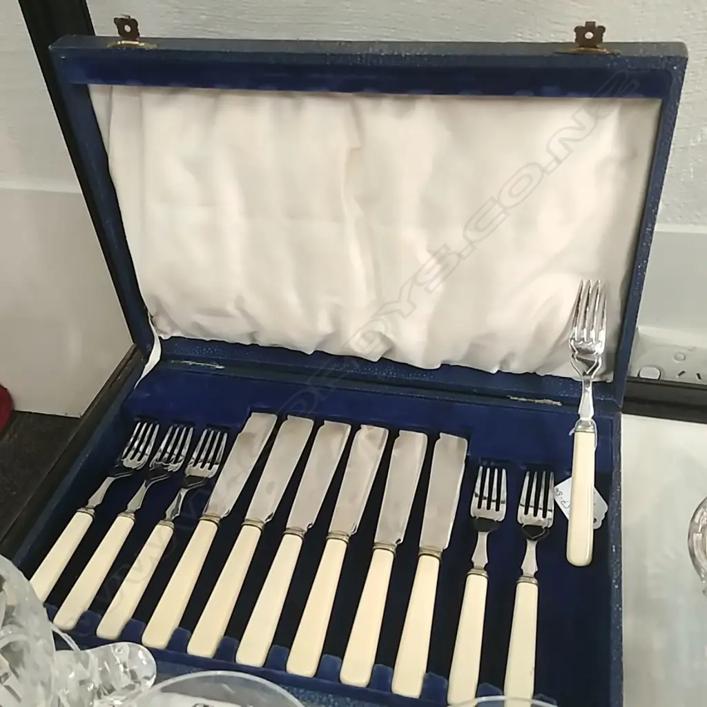 CASED 6 PERSON FISH KNIFE & FORK SET 6 PLACE S/P Image 1++