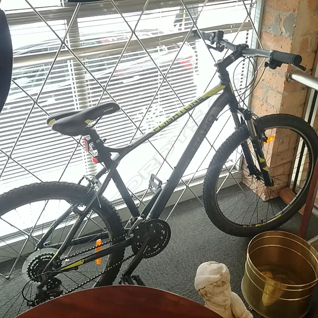 SHIMANO GEAR, HARO "FLIGHTLINE" MOUNTAIN BIKE Image 1++