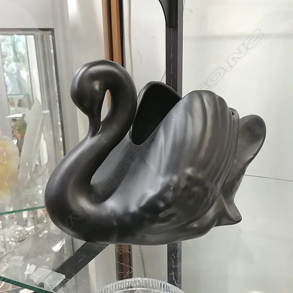 STUDIO BLACK SWAN Image 1++