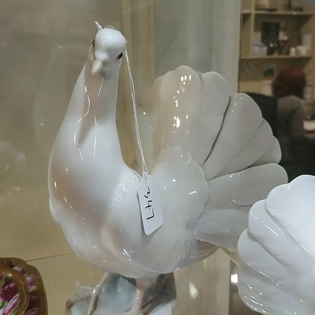LLADRO DOVE AF Image 1++
