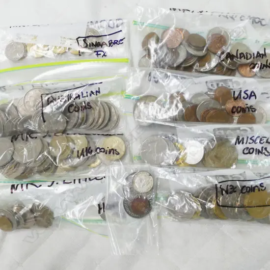BAG ASSTD COINS