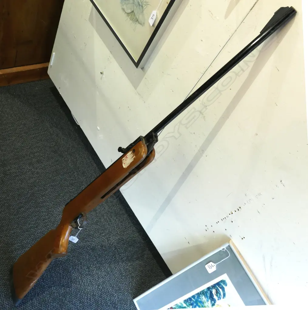 BRITISH ESA AIR GUN Image 1++