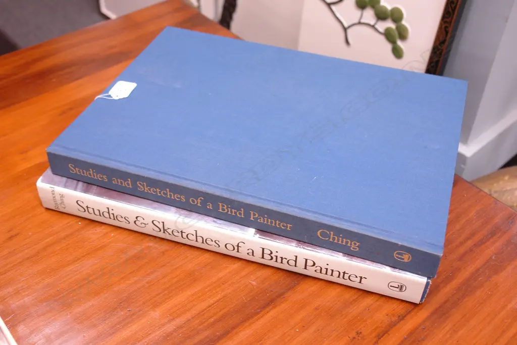 R CHING BOOK-STUDIES&SKETCHES OF A BIRD PAINTER Image 1++