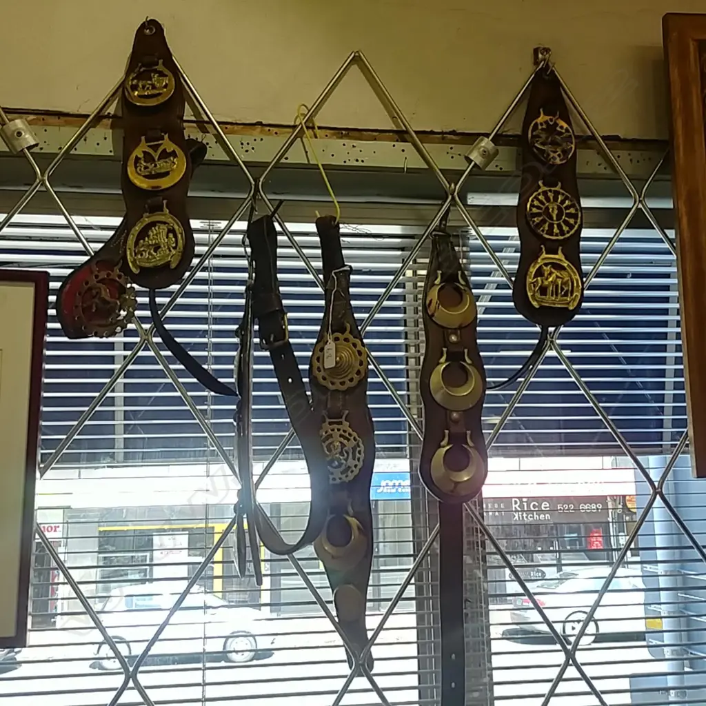 COLLECTION OF HORSE BRASSES Image 1++