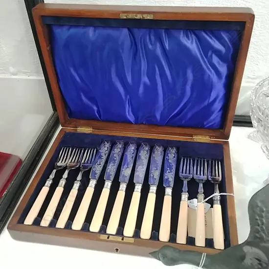 CASED FISH SET BONE HANDLES