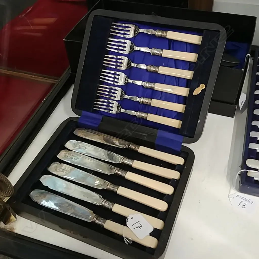 CASED SET OF FISH,KNIVES +FORKS Image 1++