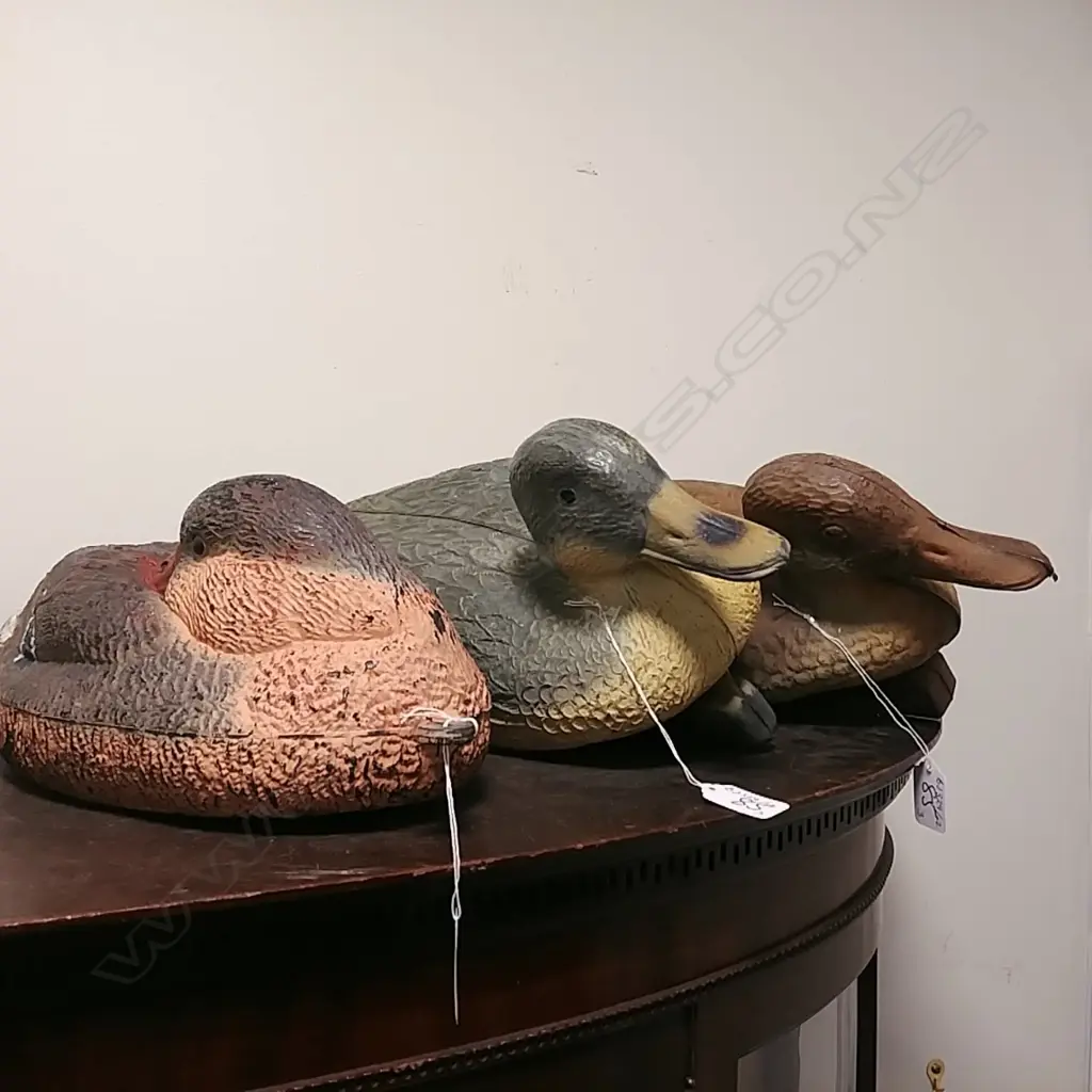 3 PLASTIC DECOY DUCKS Image 1++
