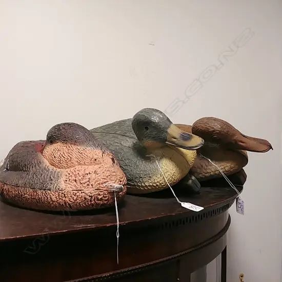3 PLASTIC DECOY DUCKS