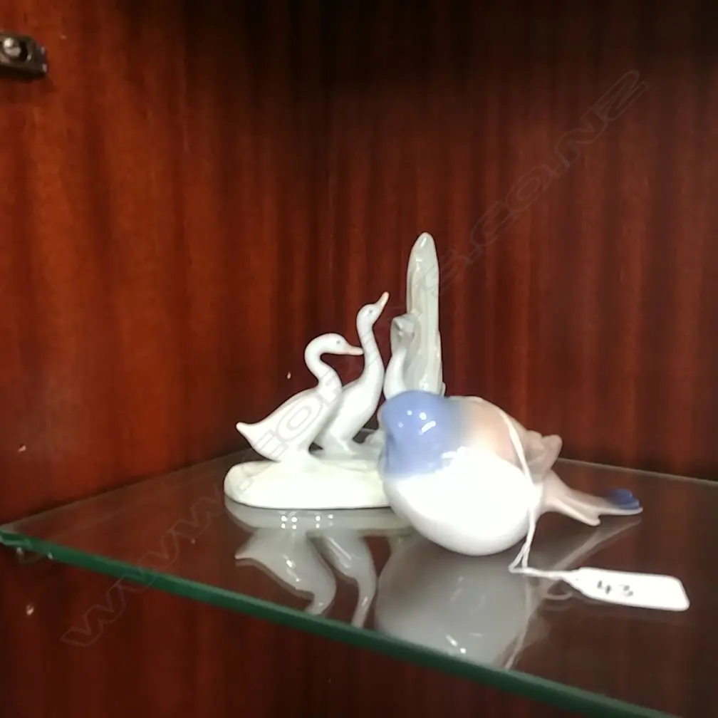 B&G SPARROW + NAO DUCKS  Image 1++