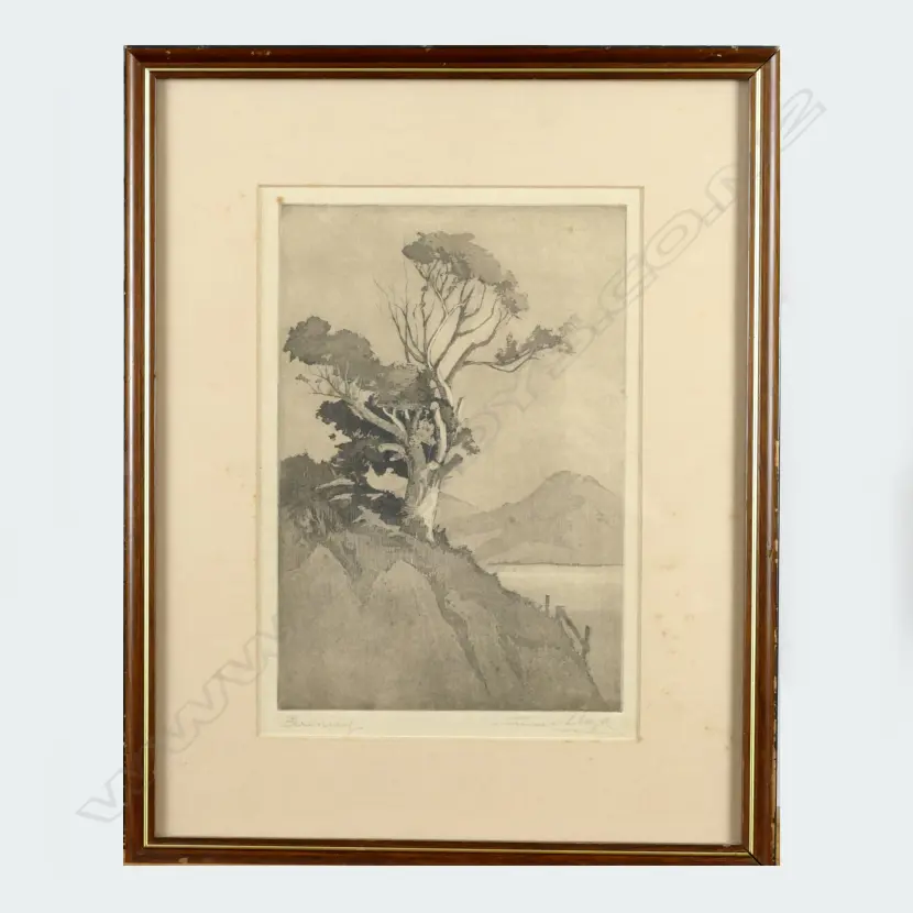 Connie Lloyd Image 1++