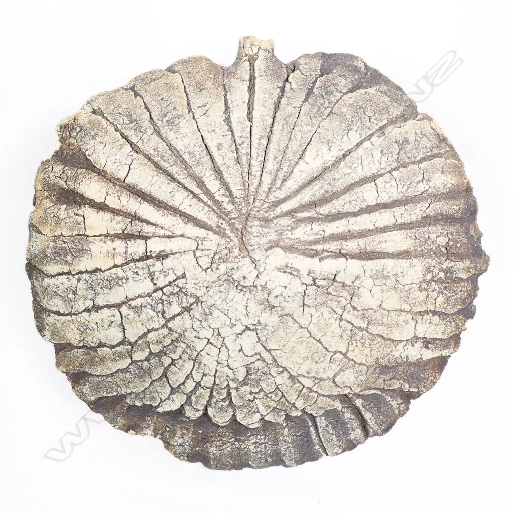 Len Castle Hanging Wall Flask Form. Minor chipping. W.260mm Image 1++