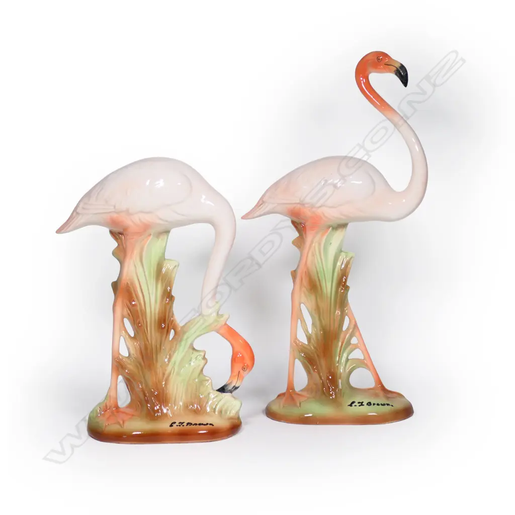 Pair of Titian flamingos, Image 1++
